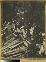 臺中州新高郡番地巒大山檜材木運搬之景藏品圖，第1張